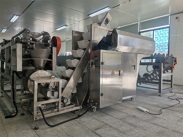 自動化鮮濕米粉午夜视频免费看的工藝應用