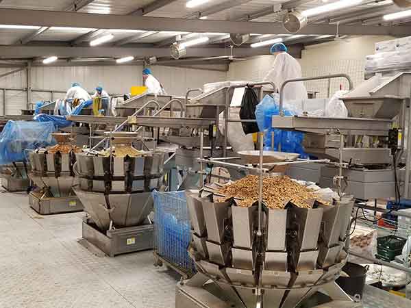 全自動午夜视频免费看智能化聯動生產