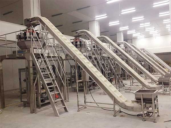 智能化全自動速凍食品午夜视频免费看提升企業生產效率