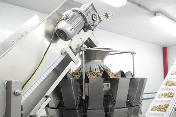 智能化全自動堅果午夜视频免费看廠家