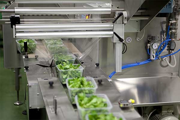 瓜果蔬菜全自動脫水蔬菜午夜视频免费看